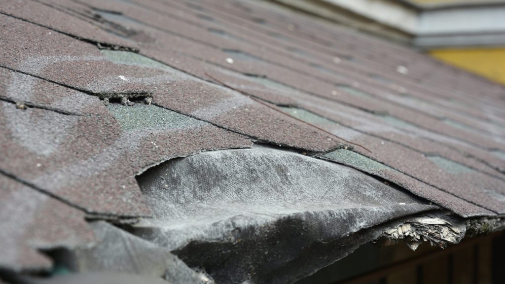 Visible Roof Damage