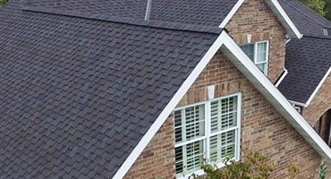 Best Roofing Contractor for Maintenance