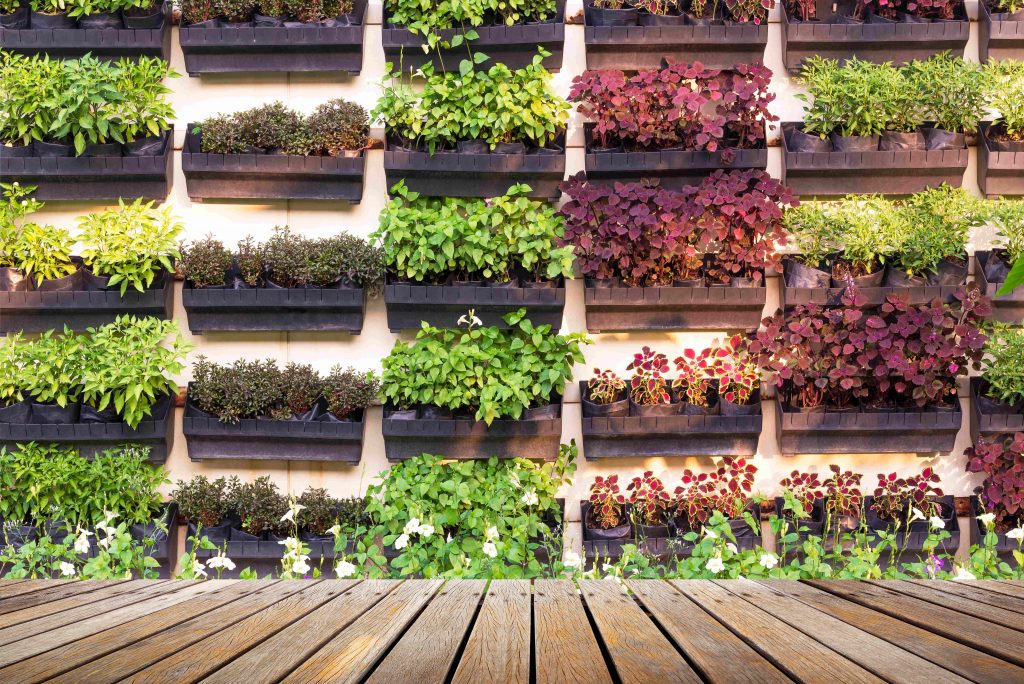 Vertical plant shelf